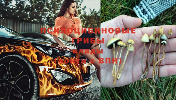 эйфоретик Абинск