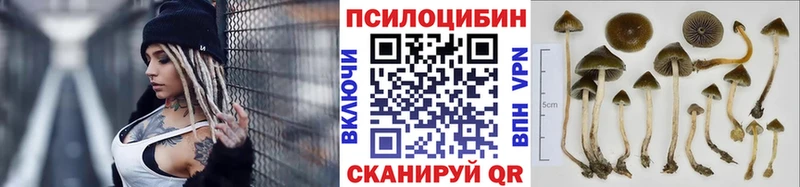 сколько стоит  Изобильный  Псилоцибиновые грибы мухоморы 