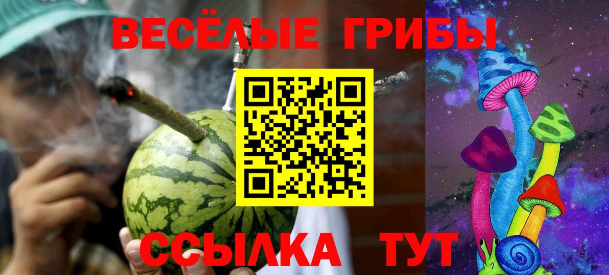 Псилоцибиновые грибы мицелий Изобильный