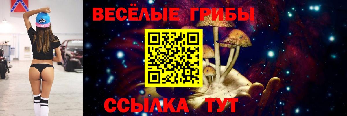 Псилоцибиновые грибы мухоморы  Вход с VPN  Галлюциногенные грибы ЛСД  Изобильный 